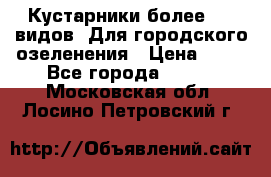 Кустарники более 100 видов. Для городского озеленения › Цена ­ 70 - Все города  »    . Московская обл.,Лосино-Петровский г.